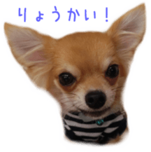 Sticker of Cereza 2 sticker #13599508