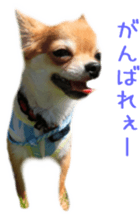 Sticker of Cereza 2 sticker #13599511