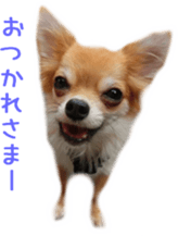 Sticker of Cereza 2 sticker #13599512