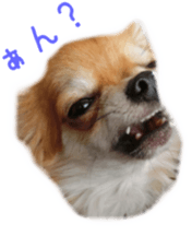 Sticker of Cereza 2 sticker #13599514