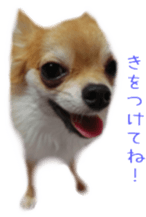 Sticker of Cereza 2 sticker #13599516