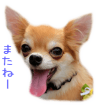 Sticker of Cereza 2 sticker #13599517