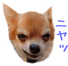 Sticker of Cereza 2 sticker #13599518