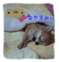 Sticker of Cereza 2 sticker #13599519