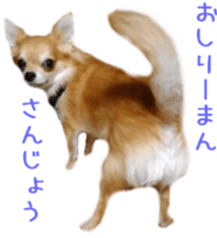 Sticker of Cereza 2 sticker #13599522