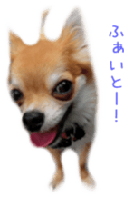 Sticker of Cereza 2 sticker #13599523