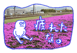 Nature Boy_japanese sticker #13601139