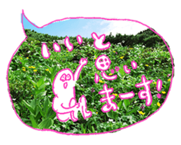 Nature Boy_japanese sticker #13601142