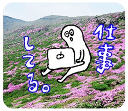 Nature Boy_japanese sticker #13601144