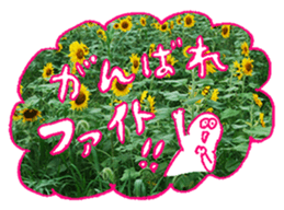 Nature Boy_japanese sticker #13601153
