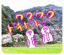 Nature Boy_japanese sticker #13601155