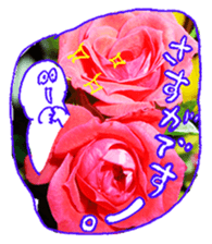 Nature Boy_japanese sticker #13601156