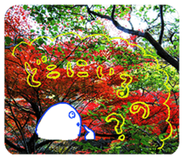 Nature Boy_japanese sticker #13601161