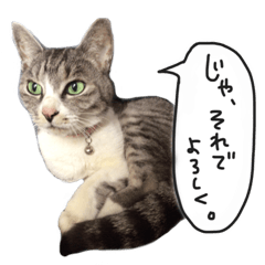 Another of my cat sticker.