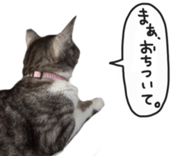 Another of my cat sticker. sticker #13601276