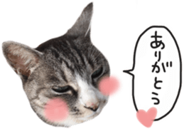 Another of my cat sticker. sticker #13601281