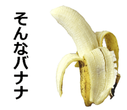 He is banana. sticker #13601438