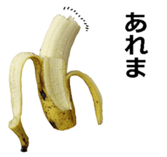 He is banana. sticker #13601444