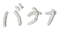 He is banana. sticker #13601451