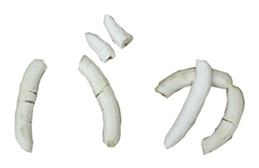 He is banana. sticker #13601452