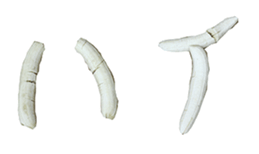 He is banana. sticker #13601454