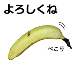 He is banana. sticker #13601458