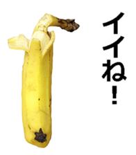 He is banana. sticker #13601460