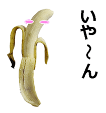 He is banana. sticker #13601465