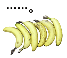 He is banana. sticker #13601477