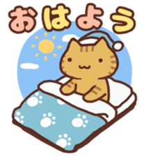 Energetic Cats! sticker #13601774