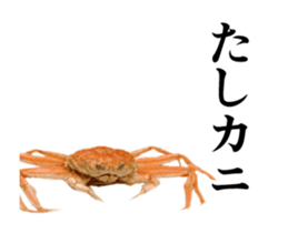 Move! SUSHI Fish loose puns sticker #13603017