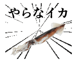 Move! SUSHI Fish loose puns sticker #13603023