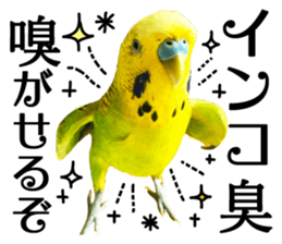 inko no oujisama sticker #13606574