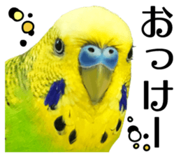 inko no oujisama sticker #13606575