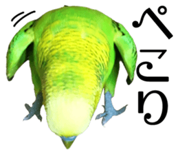 inko no oujisama sticker #13606576