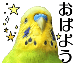 inko no oujisama sticker #13606578