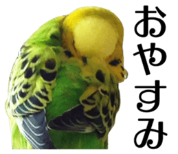 inko no oujisama sticker #13606579