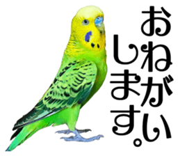 inko no oujisama sticker #13606580