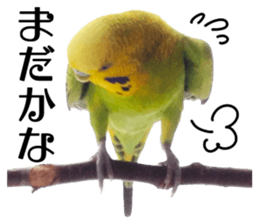 inko no oujisama sticker #13606581