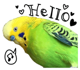 inko no oujisama sticker #13606582