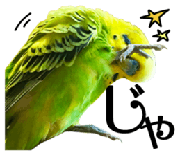 inko no oujisama sticker #13606584