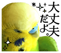 inko no oujisama sticker #13606586