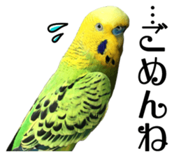 inko no oujisama sticker #13606589