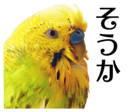 inko no oujisama sticker #13606591