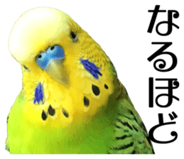 inko no oujisama sticker #13606592