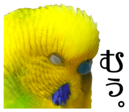 inko no oujisama sticker #13606594