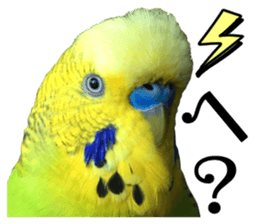 inko no oujisama sticker #13606595