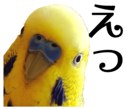 inko no oujisama sticker #13606596