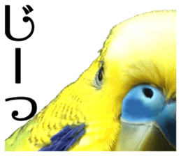 inko no oujisama sticker #13606597