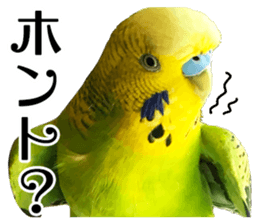 inko no oujisama sticker #13606600